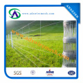 Galvanized Sheep/Farm/Field/Deer Wire Mesh Fence (hot sale&factory price)